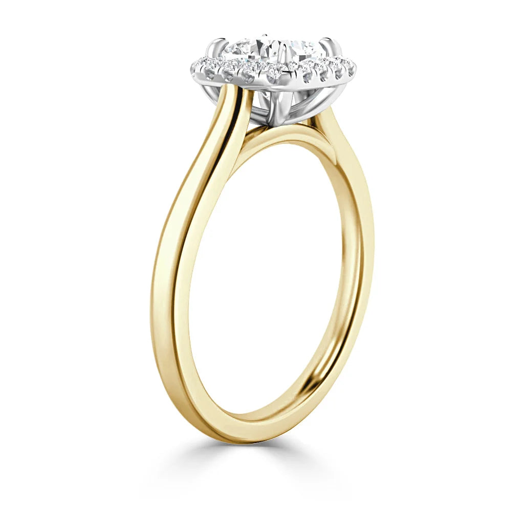 Gold ring with a thin band, featuring a raised halo setting of diamonds in a white metal prong mount.