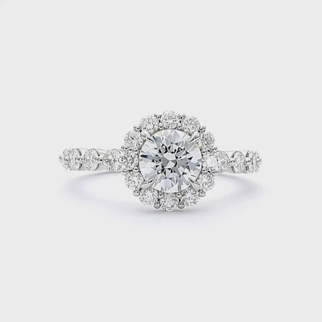 Veronica - Round Cut Platinum Engagement Ring