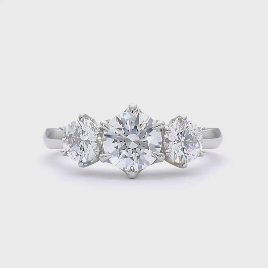 Emily - Round Cut Platinum Engagement Ring