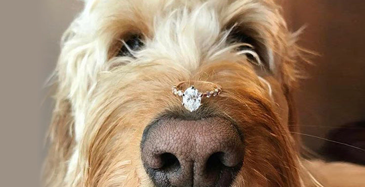 How To Announce Your Engagement On Social Media