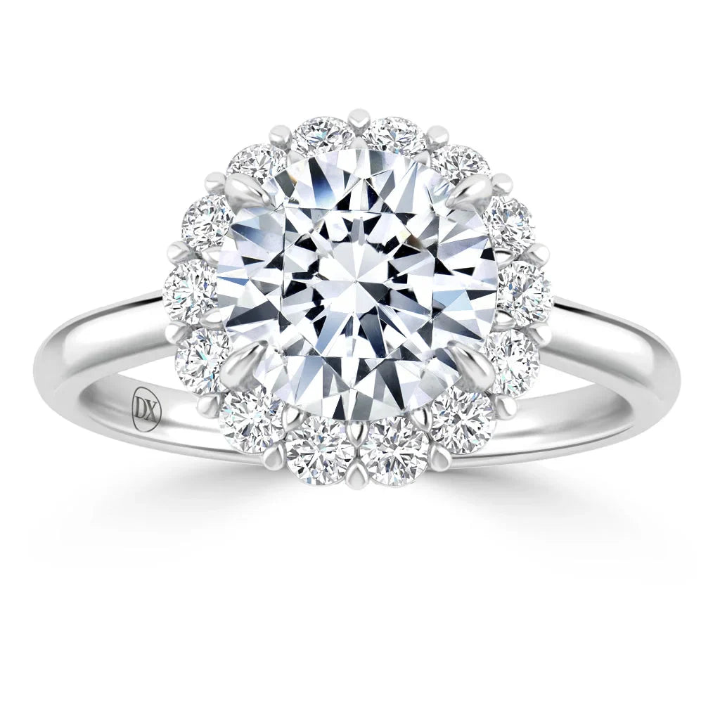 Georgina - Round Cut Platinum Engagement Ring