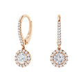 Ashleigh - .34ct Round Cut Diamond Earrings 18ct Rose Gold
